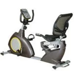 RECUMBENT BIKE LF-150R