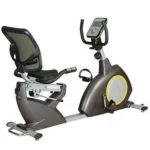 RECUMBENT BIKE LF-150R