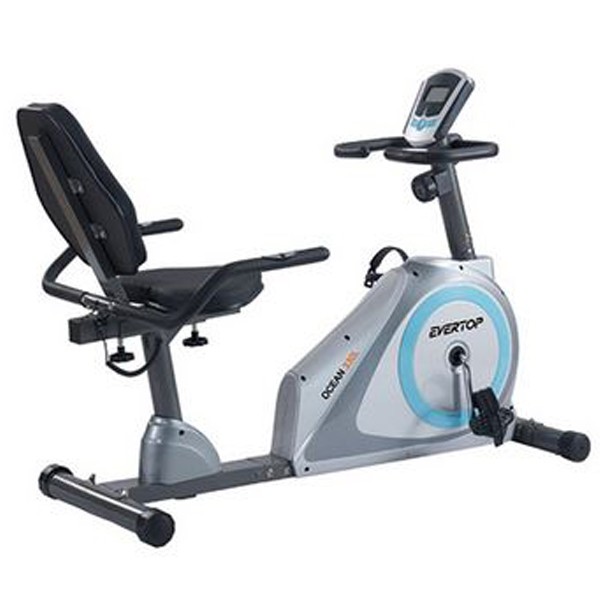 RECUMBENT BIKE (OCEAN 330L)