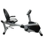 WNQ Recumbent Bike 7318WB