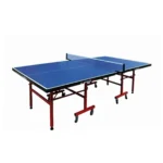 Table-Tennis-Board-N201