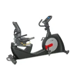 DAILY YOUTH - FD5024 Recumbent Bike